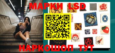 Альфа ПВП Малгобек