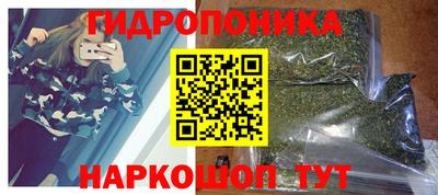 Альфа ПВП Малгобек